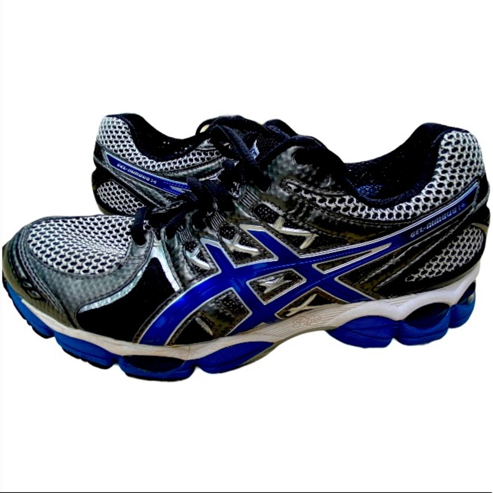 asics nimbus 14 mens